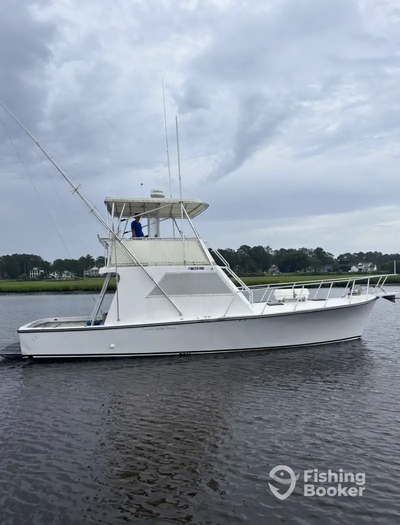 charter image 4