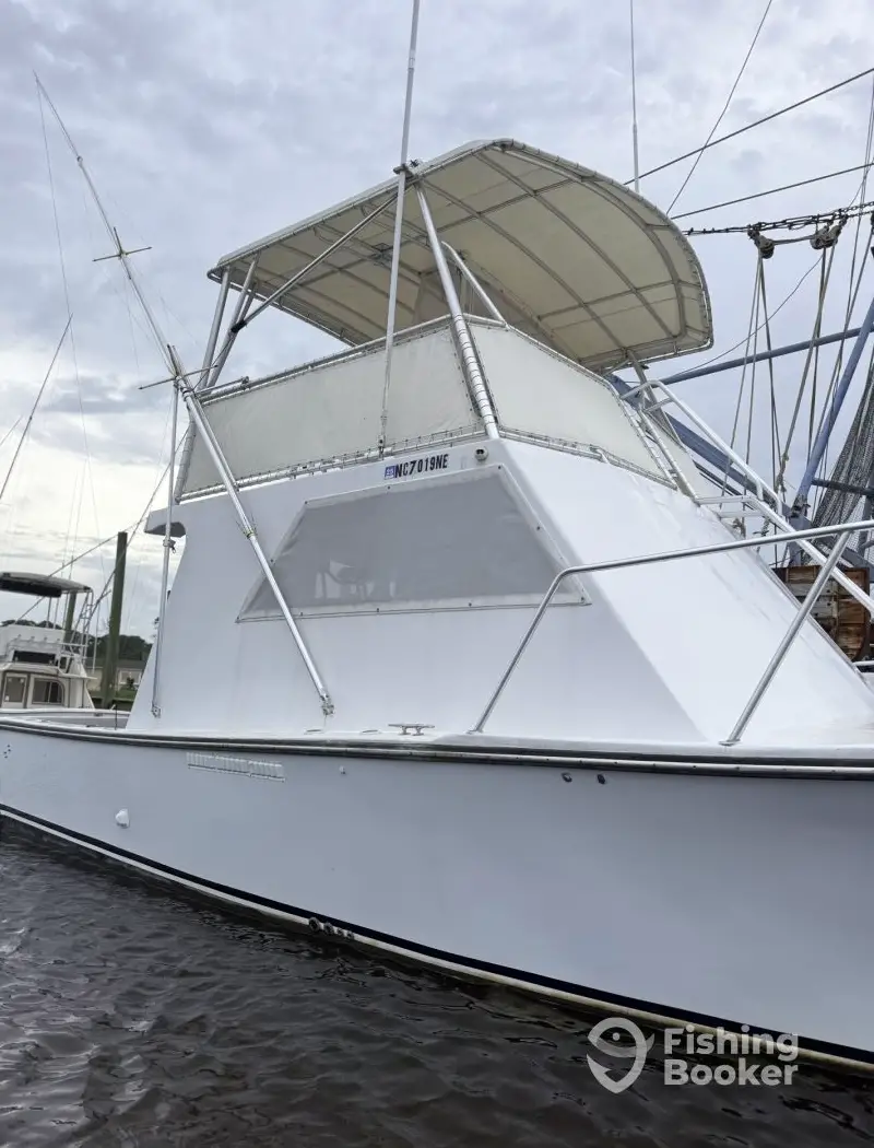 charter image 5