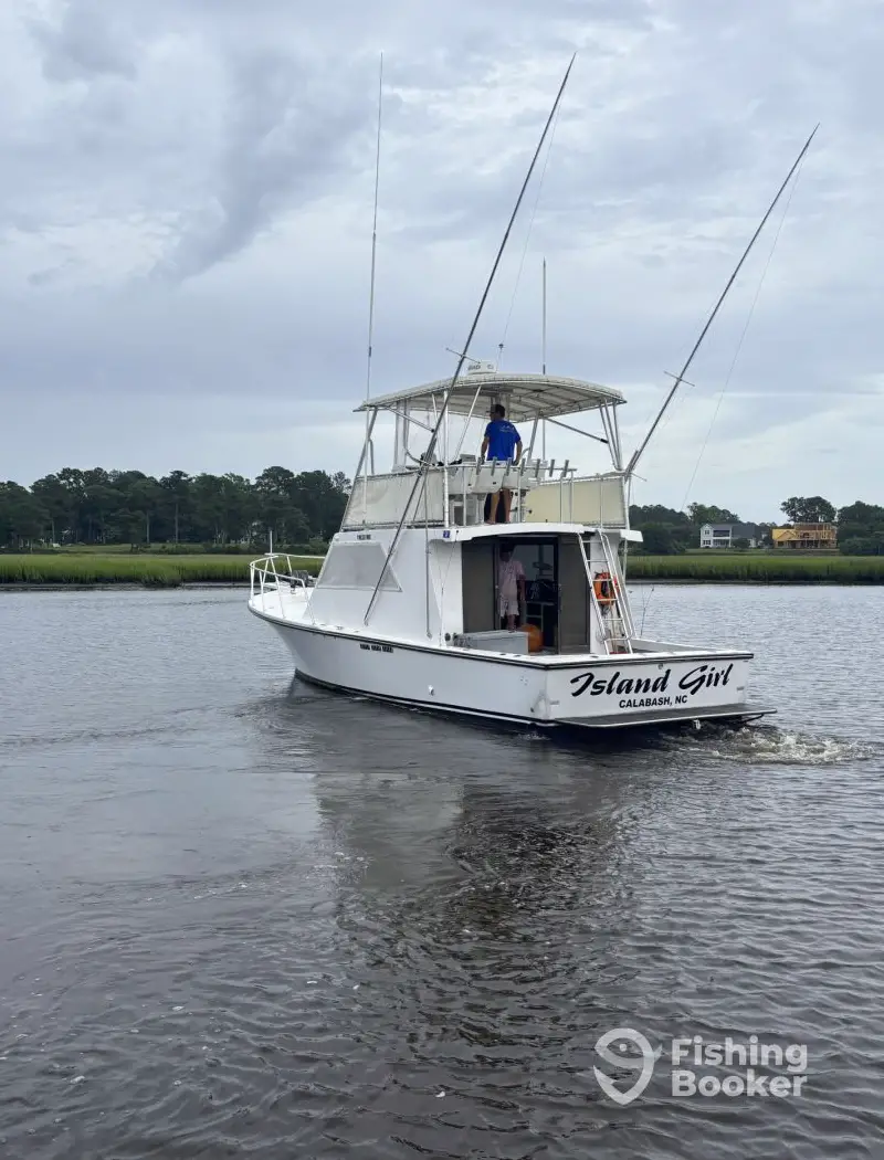 charter image 6