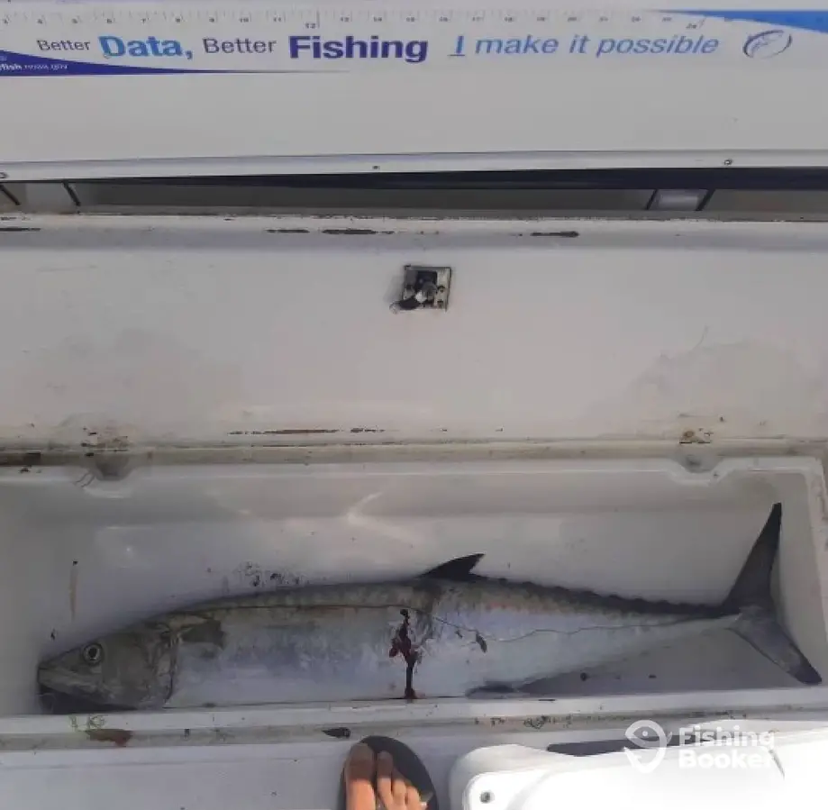 charter image 4