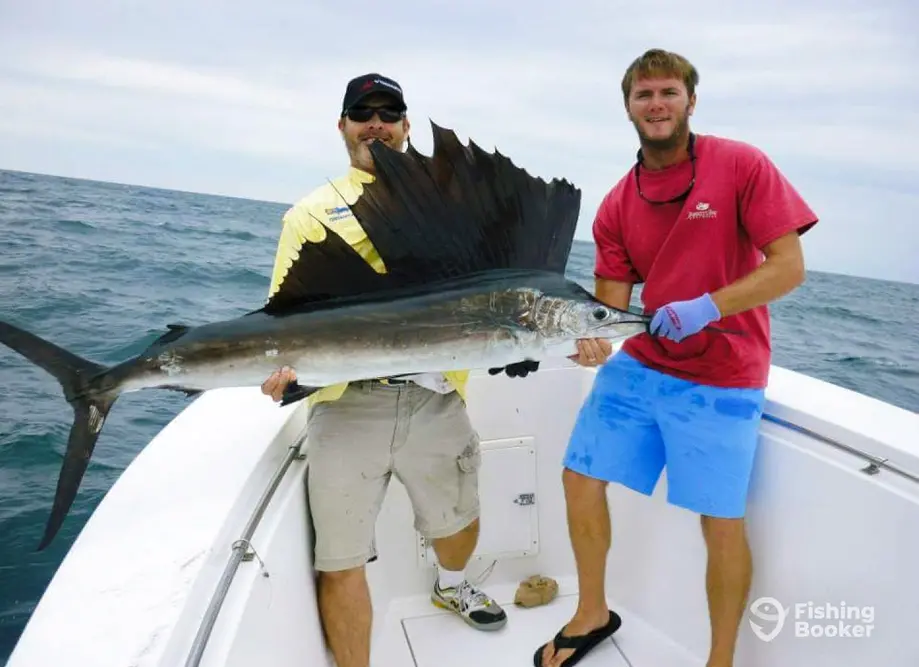 charter image 4