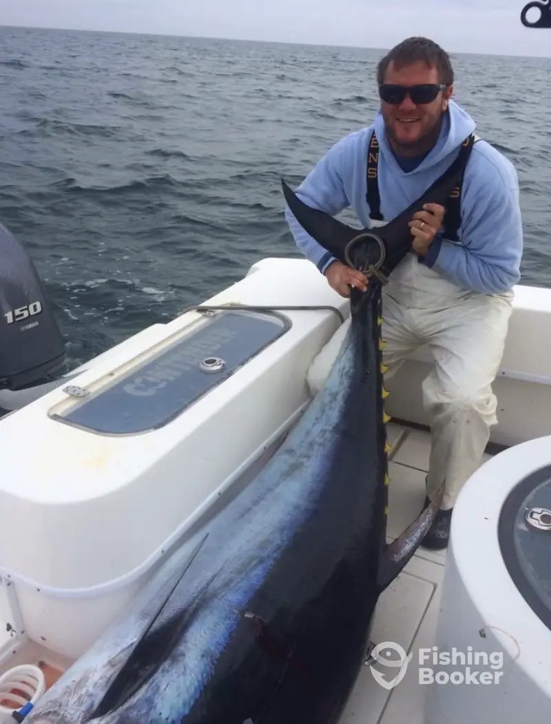 charter image 6