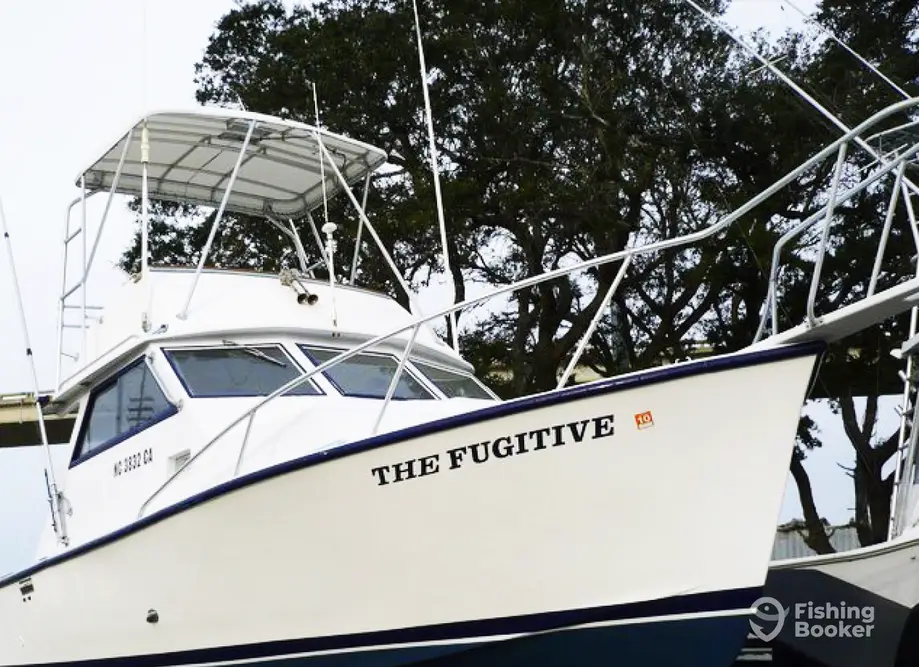 charter image 2