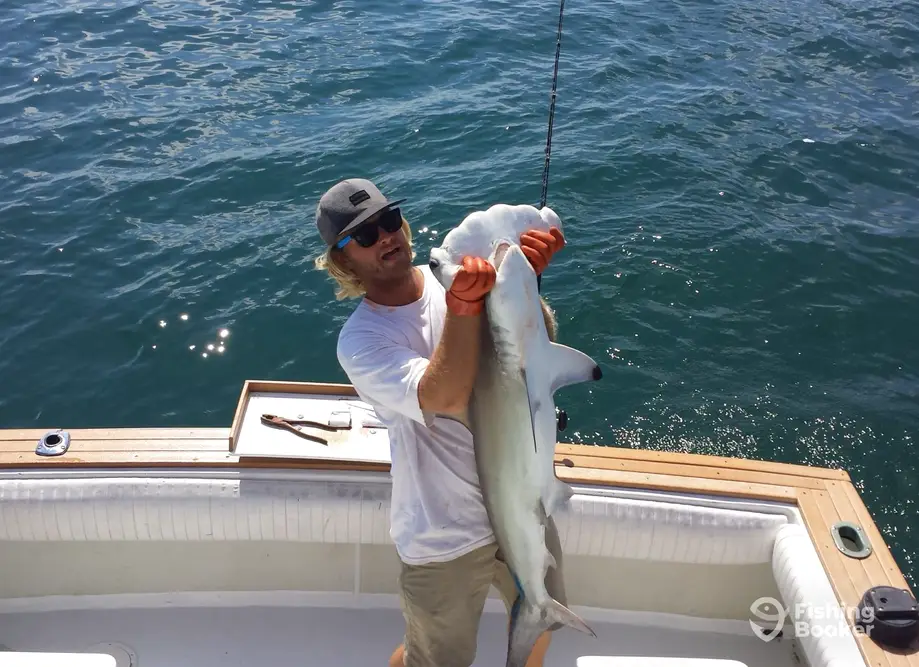 charter image 5