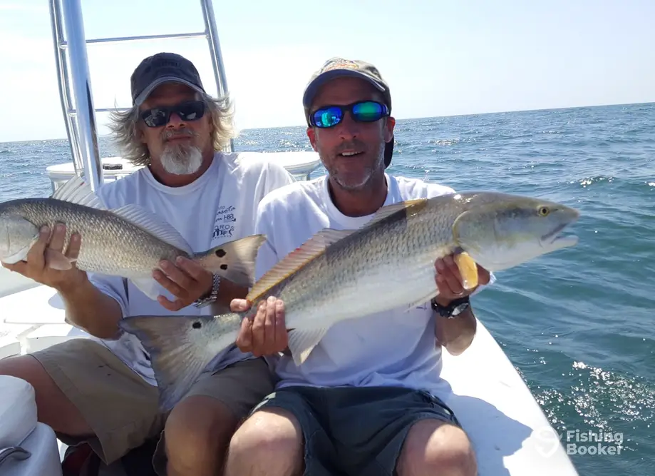 charter image 3