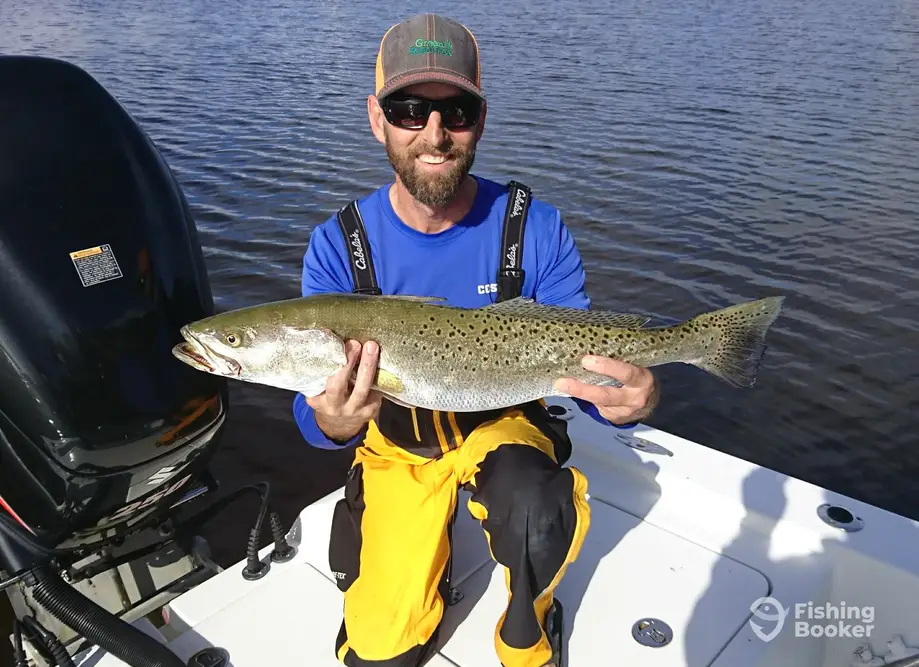 charter image 6