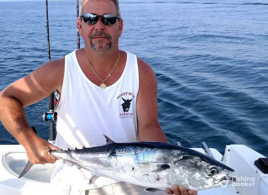charter image 5