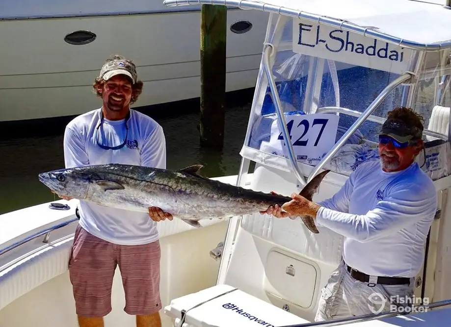 charter image 2