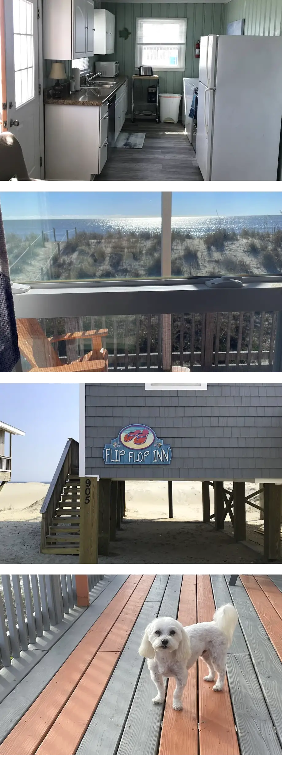 Lovely cottage, Ocean Front , small Dog ...