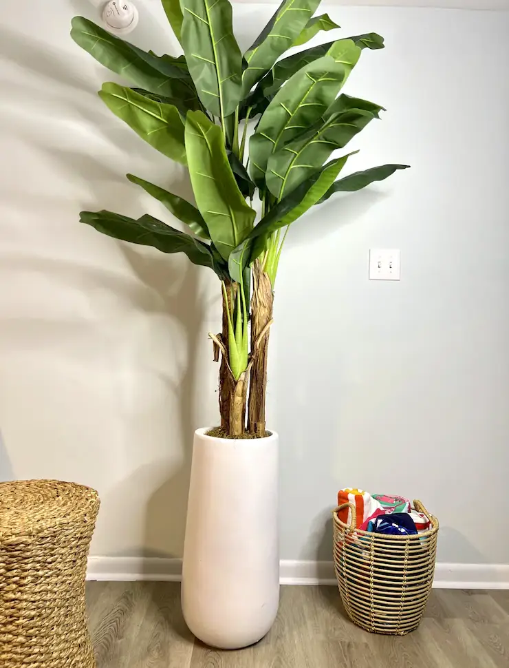 rental image 3