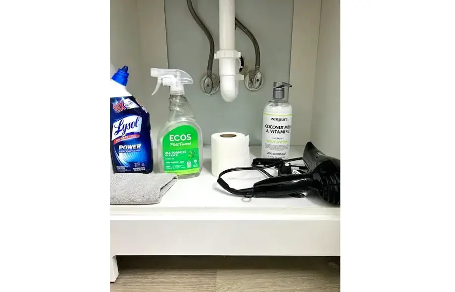rental image 5